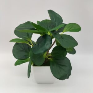 Living Room Home Decoration Ornaments Bonsai Decoration